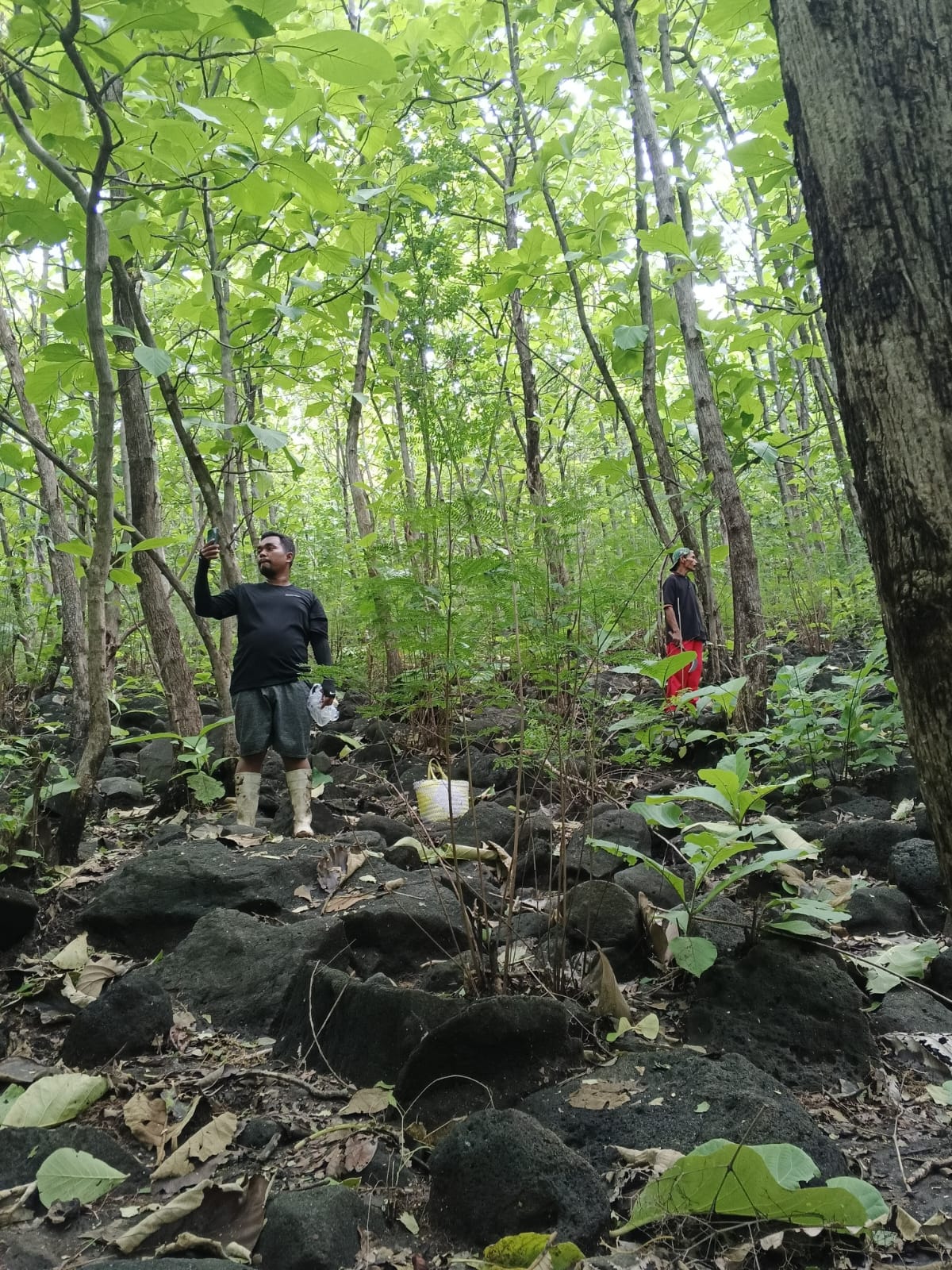 Survei geologi lapangan 1