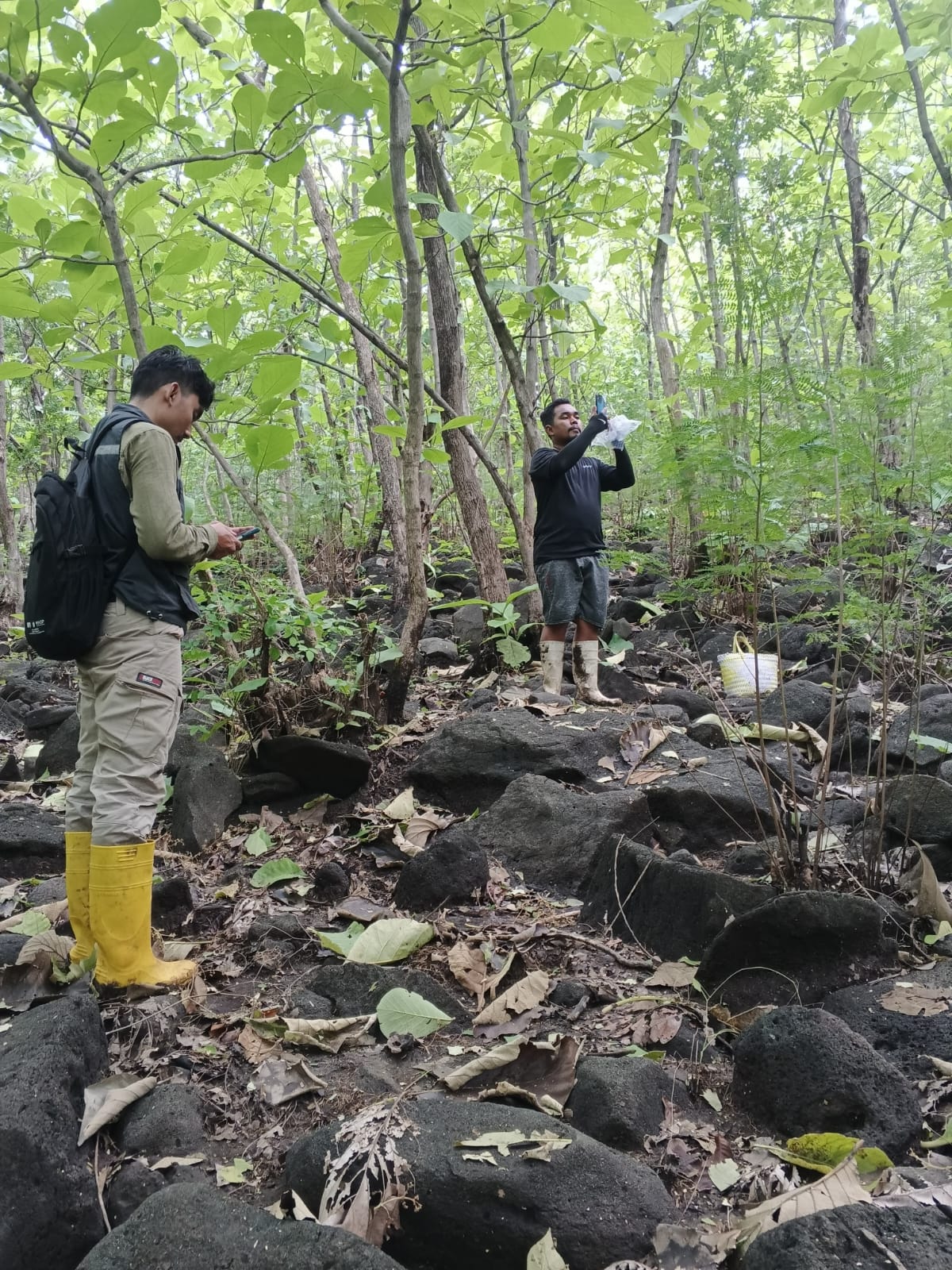Survei geologi lapangan 3